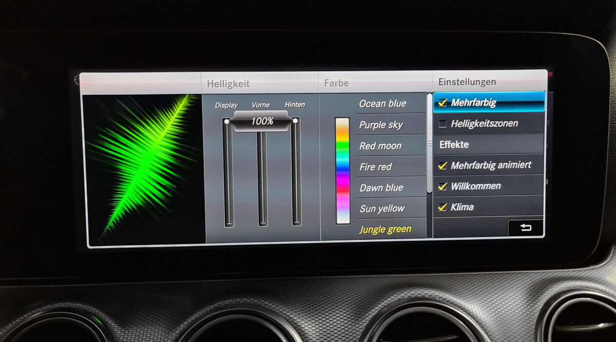 Iluminación Ambiental Mercedes-Benz Clase E (W213) - Imagen 2